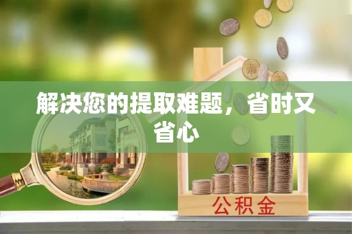 龙井解决您的提取难题，省时又省心