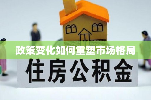 龙井政策变化如何重塑市场格局