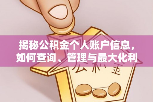 龙井揭秘公积金个人账户信息，如何查询、管理与最大化利用