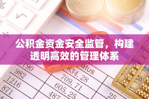 龙井公积金资金安全监管，构建透明高效的管理体系