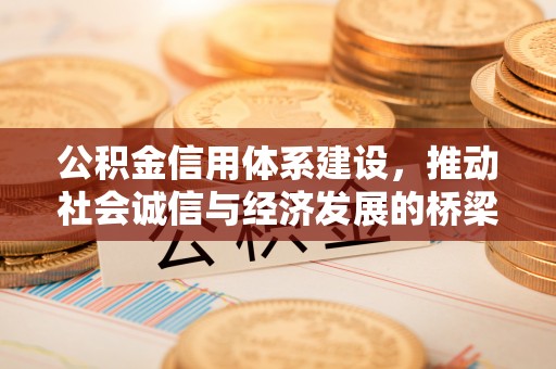 龙井公积金信用体系建设，推动社会诚信与经济发展的桥梁