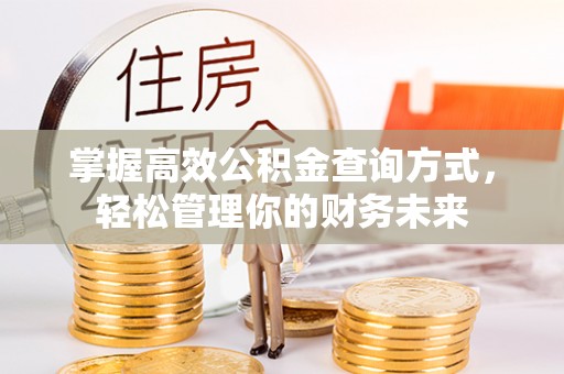 龙井掌握高效公积金查询方式，轻松管理你的财务未来