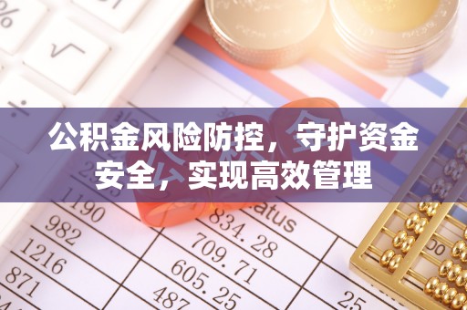 龙井公积金风险防控，守护资金安全，实现高效管理