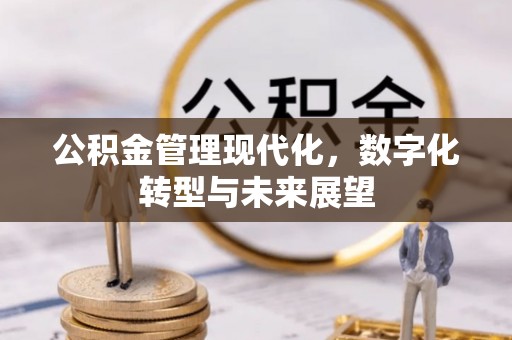 龙井公积金管理现代化，数字化转型与未来展望