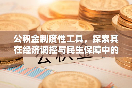 龙井公积金制度性工具，探索其在经济调控与民生保障中的重要作用
