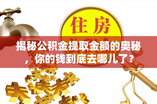 龙井揭秘公积金提取金额的奥秘，你的钱到底去哪儿了？