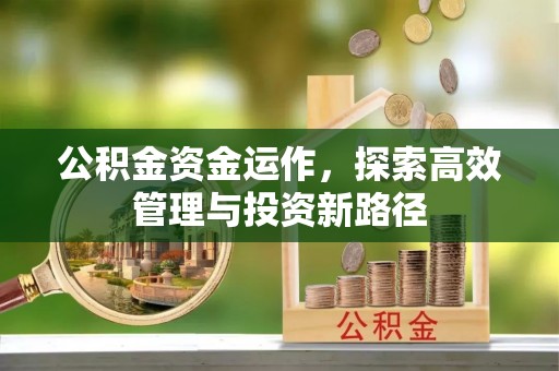龙井公积金资金运作，探索高效管理与投资新路径