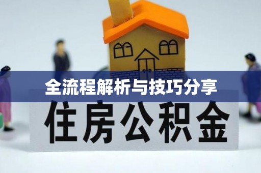 龙井全流程解析与技巧分享