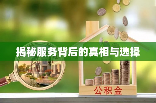 龙井揭秘服务背后的真相与选择