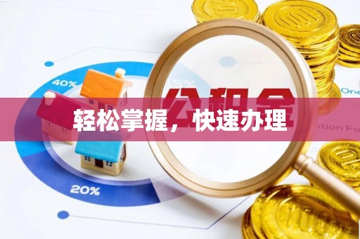 龙井轻松掌握，快速办理