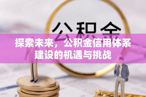 龙井探索未来，公积金信用体系建设的机遇与挑战