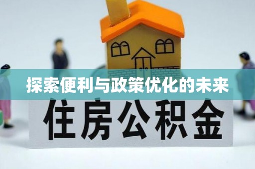 龙井探索便利与政策优化的未来