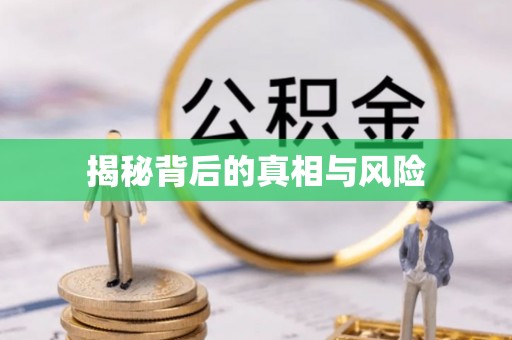 龙井揭秘背后的真相与风险