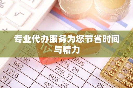 龙井专业代办服务为您节省时间与精力