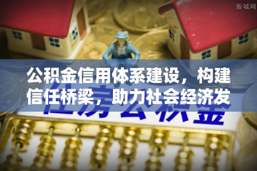 龙井公积金信用体系建设，构建信任桥梁，助力社会经济发展