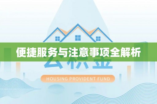 龙井便捷服务与注意事项全解析