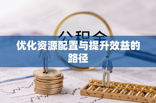 龙井优化资源配置与提升效益的路径