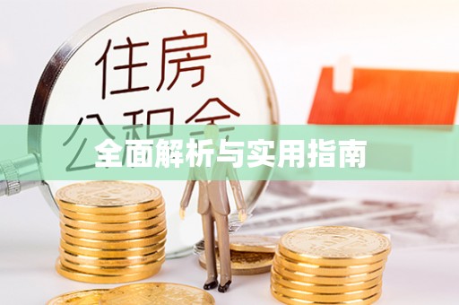 龙井全面解析与实用指南