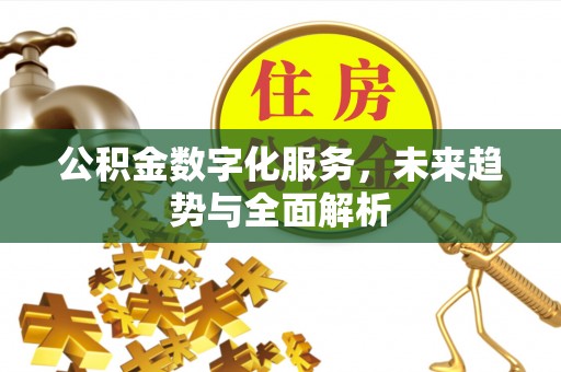 龙井公积金数字化服务，未来趋势与全面解析