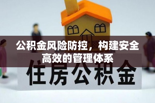 龙井公积金风险防控，构建安全高效的管理体系