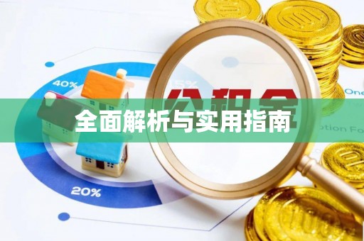 龙井全面解析与实用指南