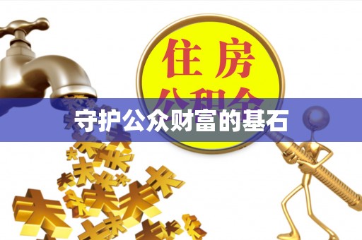 龙井守护公众财富的基石