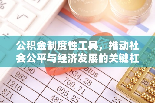龙井公积金制度性工具，推动社会公平与经济发展的关键杠杆