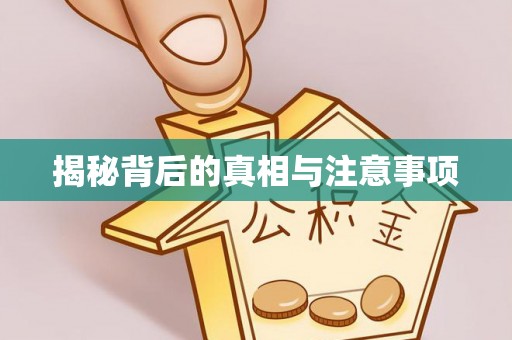 龙井揭秘背后的真相与注意事项