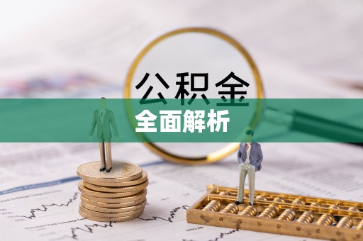 龙井全面解析