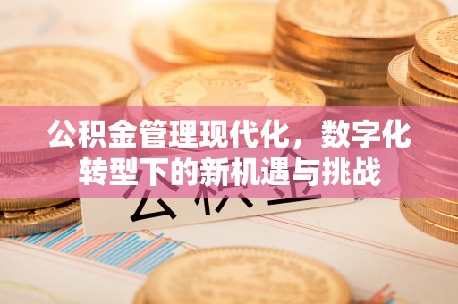 龙井公积金管理现代化，数字化转型下的新机遇与挑战