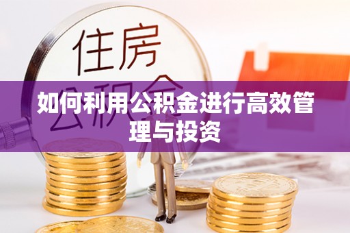 龙井如何利用公积金进行高效管理与投资