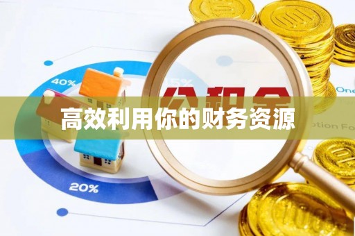 龙井高效利用你的财务资源