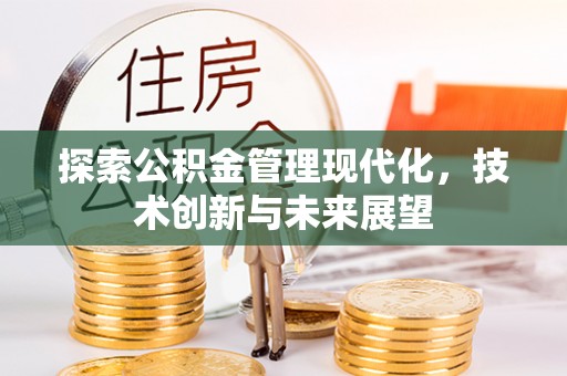 龙井探索公积金管理现代化，技术创新与未来展望