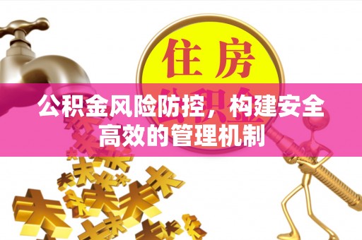 龙井公积金风险防控，构建安全高效的管理机制