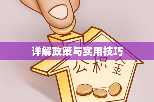 龙井详解政策与实用技巧