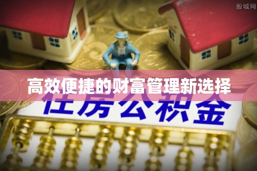 龙井高效便捷的财富管理新选择