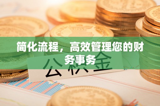 龙井简化流程，高效管理您的财务事务