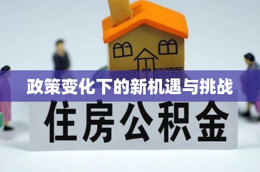 龙井政策变化下的新机遇与挑战