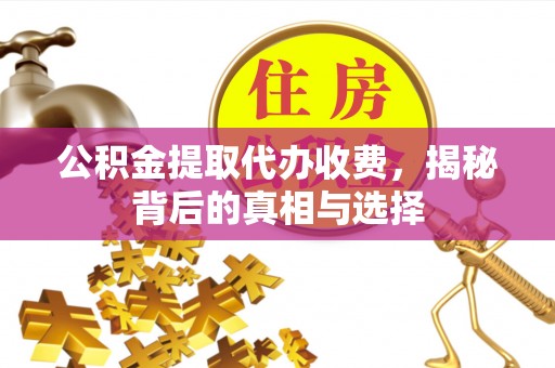 龙井公积金提取代办收费，揭秘背后的真相与选择