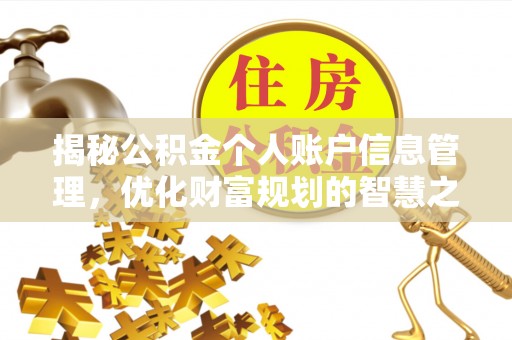 龙井揭秘公积金个人账户信息管理，优化财富规划的智慧之选