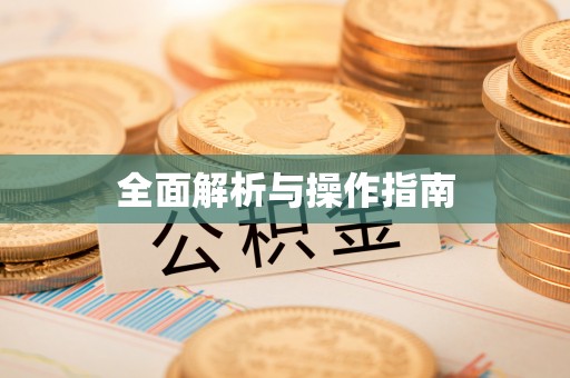 龙井全面解析与操作指南