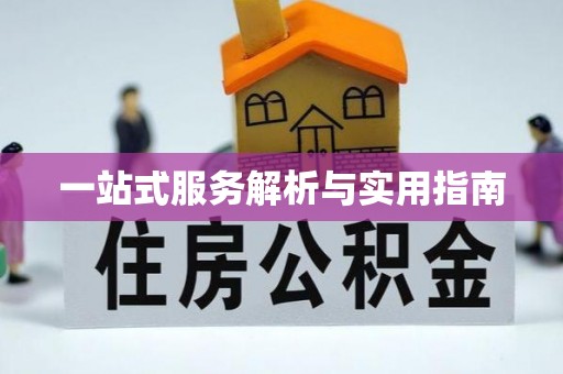 龙井一站式服务解析与实用指南