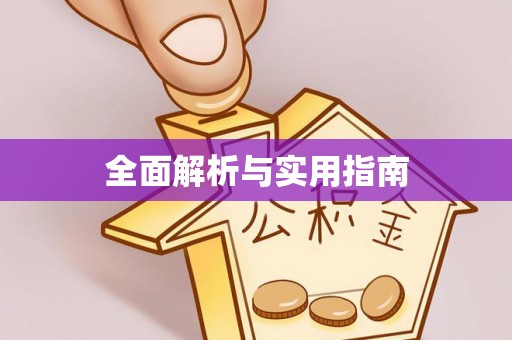 龙井全面解析与实用指南