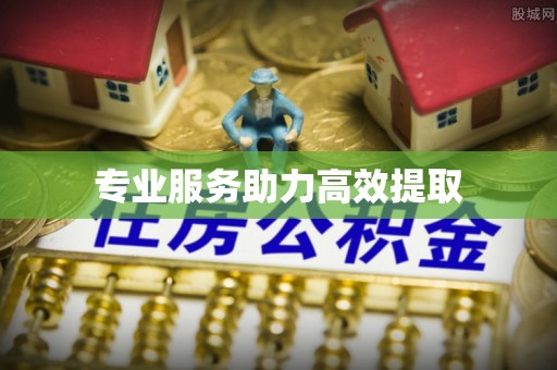 龙井专业服务助力高效提取