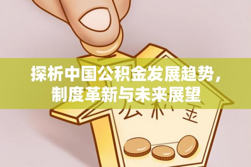 龙井探析中国公积金发展趋势，制度革新与未来展望