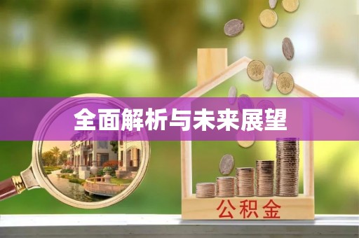 龙井全面解析与未来展望