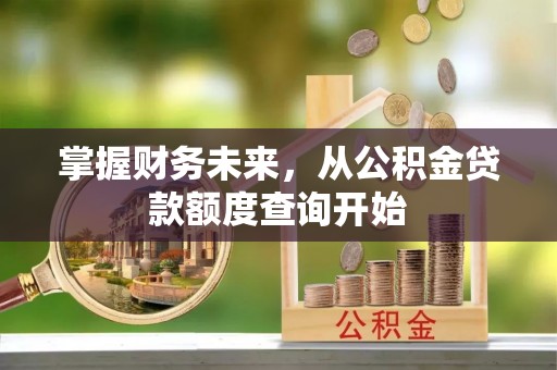 龙井掌握财务未来，从公积金贷款额度查询开始