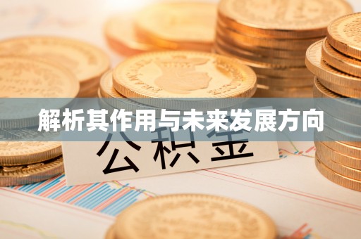 龙井解析其作用与未来发展方向