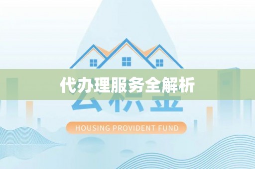 龙井代办理服务全解析