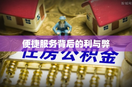 龙井便捷服务背后的利与弊